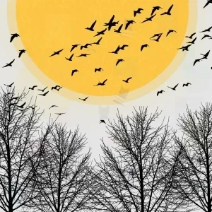 عکس سیاه‌وسفید از پرندگان در حال پرواز مقابل خورشید زرد، با درختان خشک در پیش‌زمینه