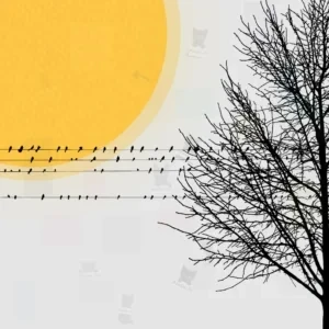 تصویر مینیمال از درخت بی‌برگ در کنار دایره زرد با خطی از پرندگان متقارن