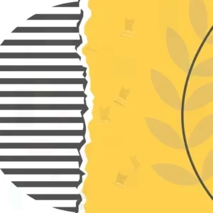 تصویر مینیمال با گرادیان زرد و سفید، نوارهای راه‌راه سیاه‌وسفید در سمت چپ و برگ‌های خاکستری در سمت راست