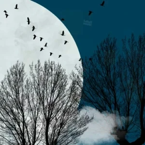 تصویر سیلوئت درخت بی‌برگ و پرندگان در حال پرواز در برابر ماه کامل و آسمان آبی