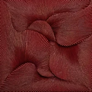 تابلو انتزاعی با خطوط شعاعی قرمز و سفید با بافتی شیاردار و عمق‌بخش